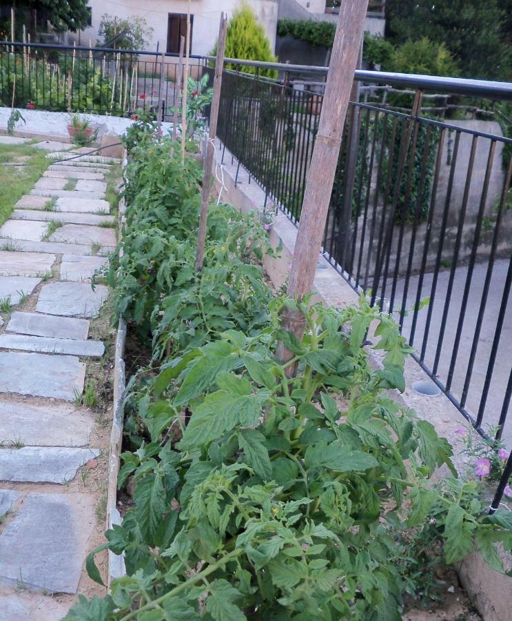 Filyra Apartment Pilion Ngoại thất bức ảnh